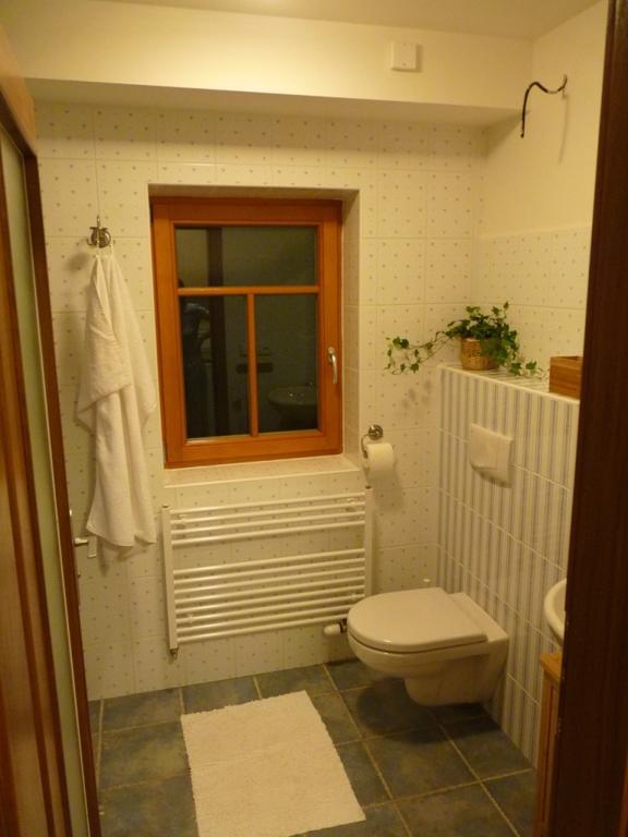Apartment Apartma Krkonose